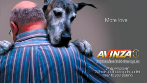 King Avinza Dog Ad Concept